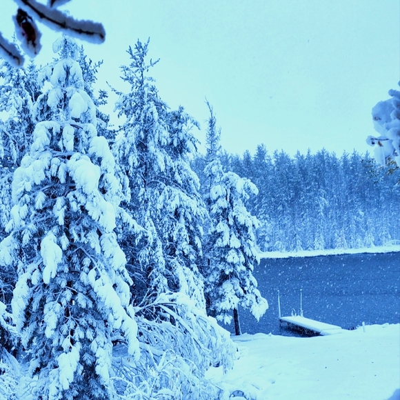 Meet your posher, Courtney - Picture 1 of 1